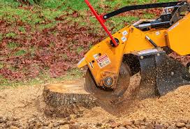 How Our Tree Care Process Works  in  Palmview South, TX